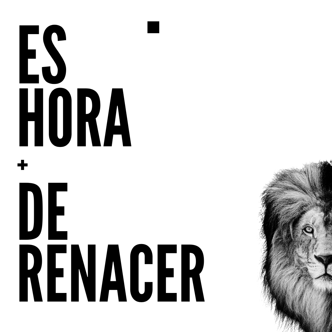 TALLER COMO SANAR EL CORAZON DEL HOMBRE